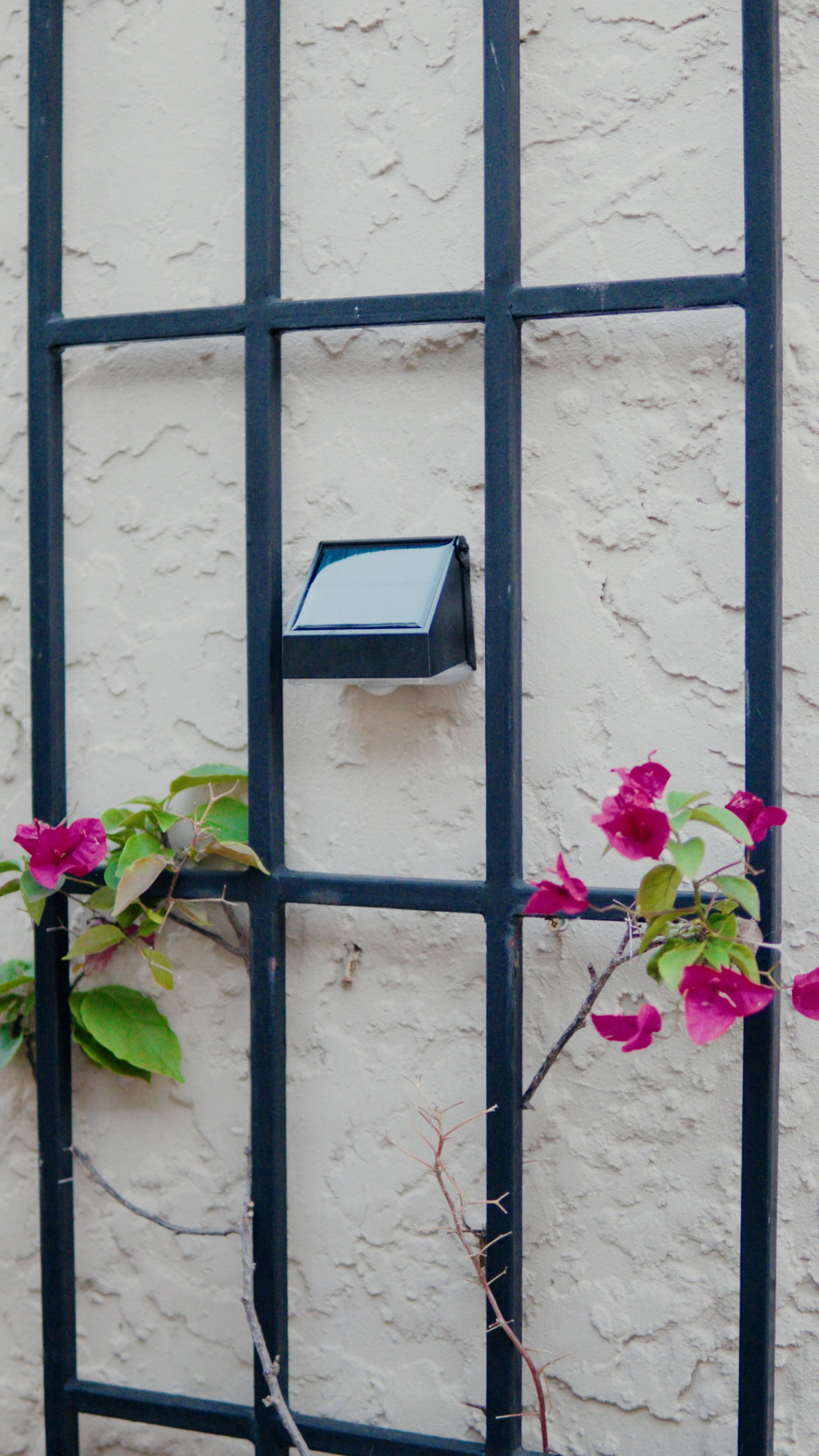 Limelight Mars Series Solar Wall Light
