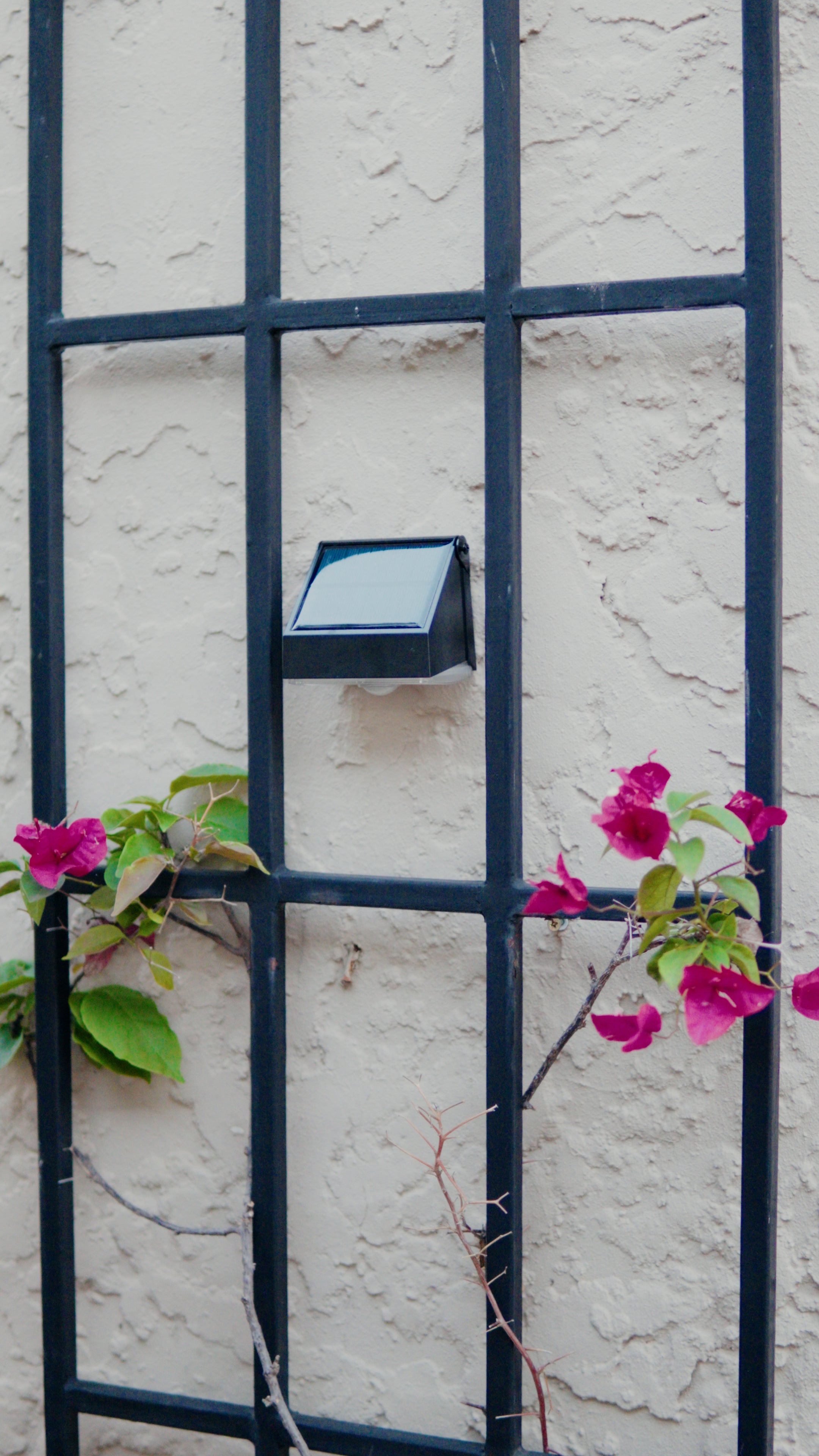 Limelight Mars Series Solar Wall Light
