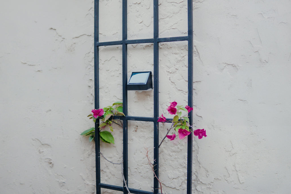 Limelight Mars Series Solar Wall Light
