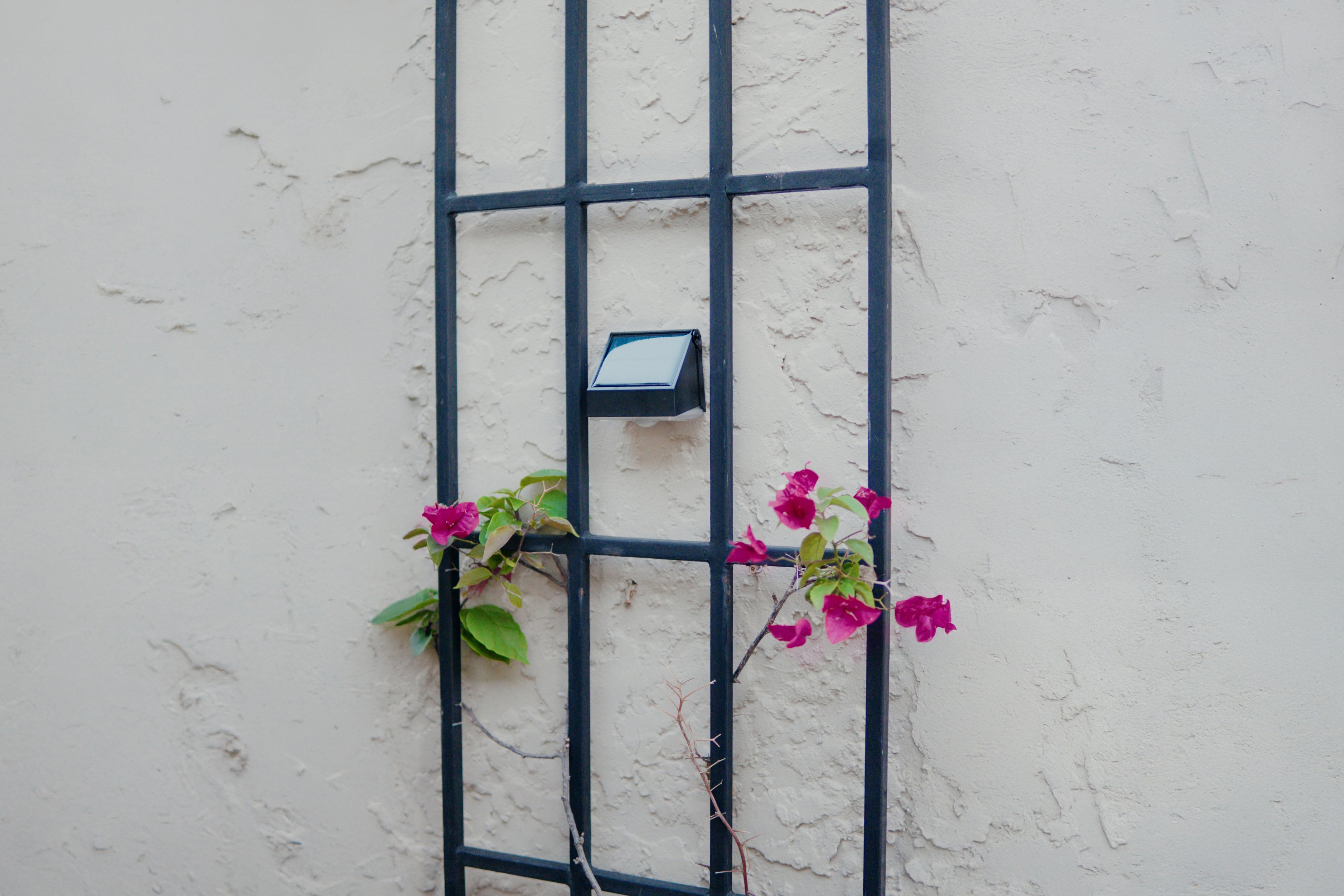 Limelight Mars Series Solar Wall Light