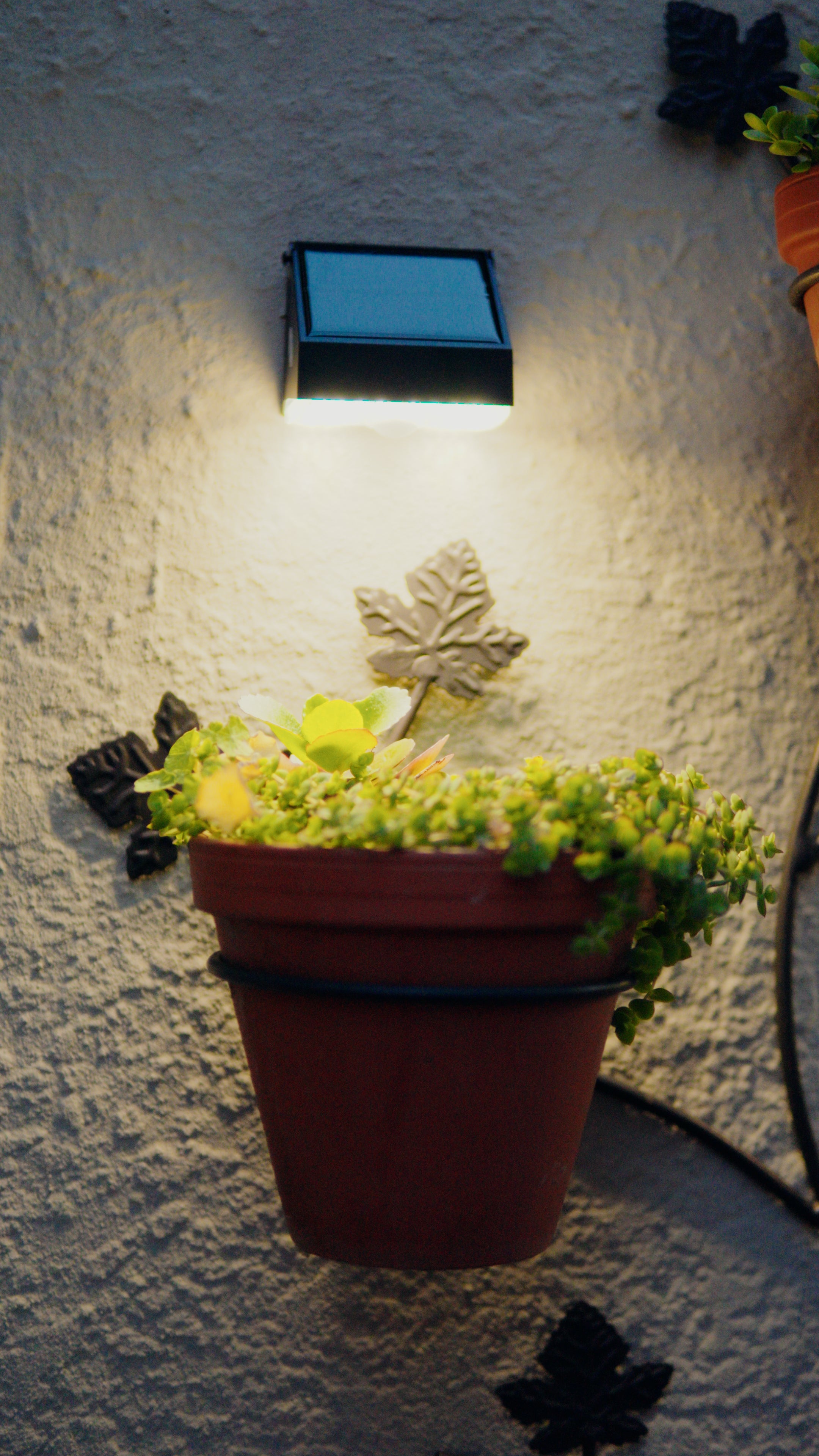 Limelight Mars Series Solar Wall Light