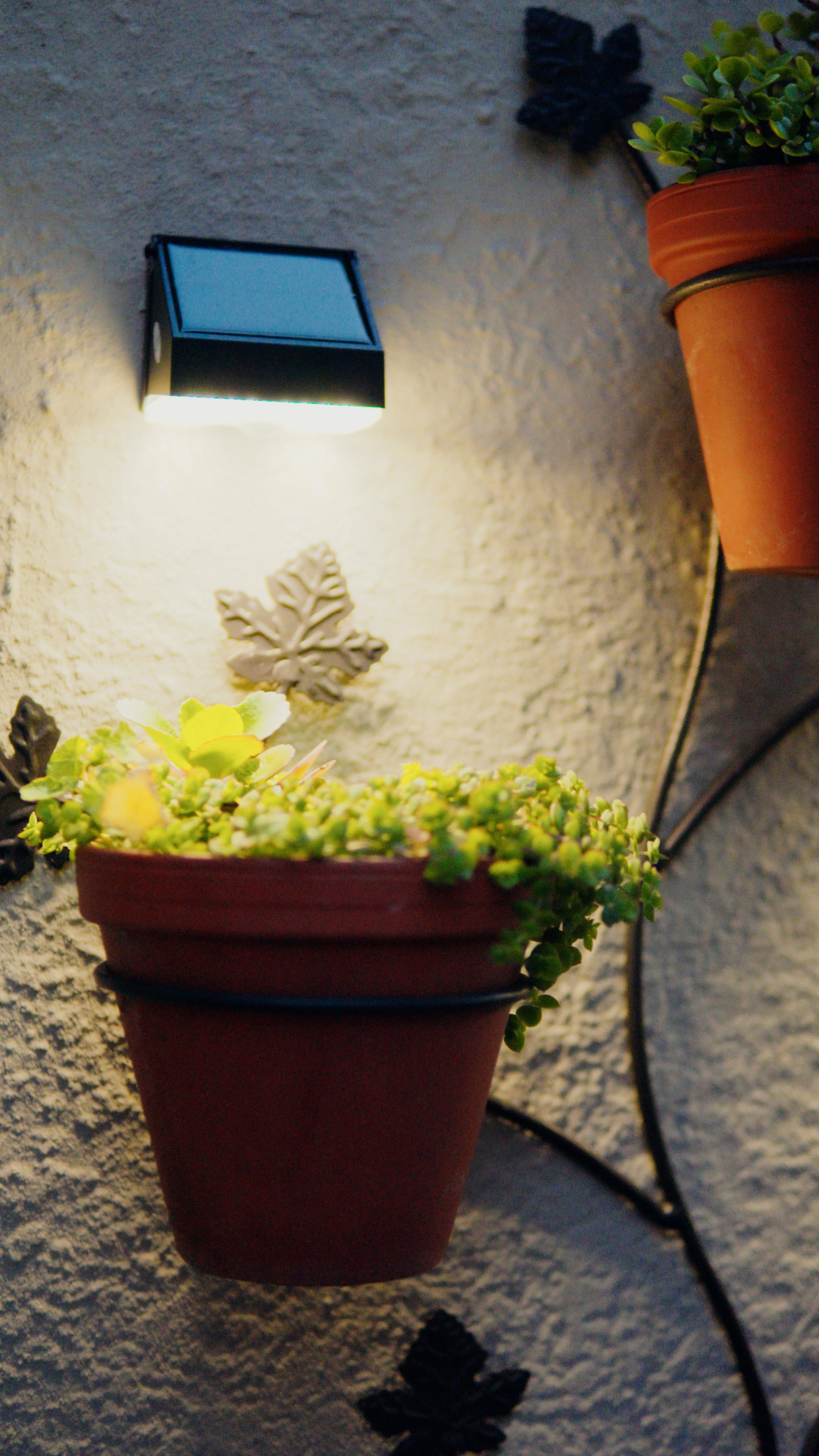 Limelight Mars Series Solar Wall Light