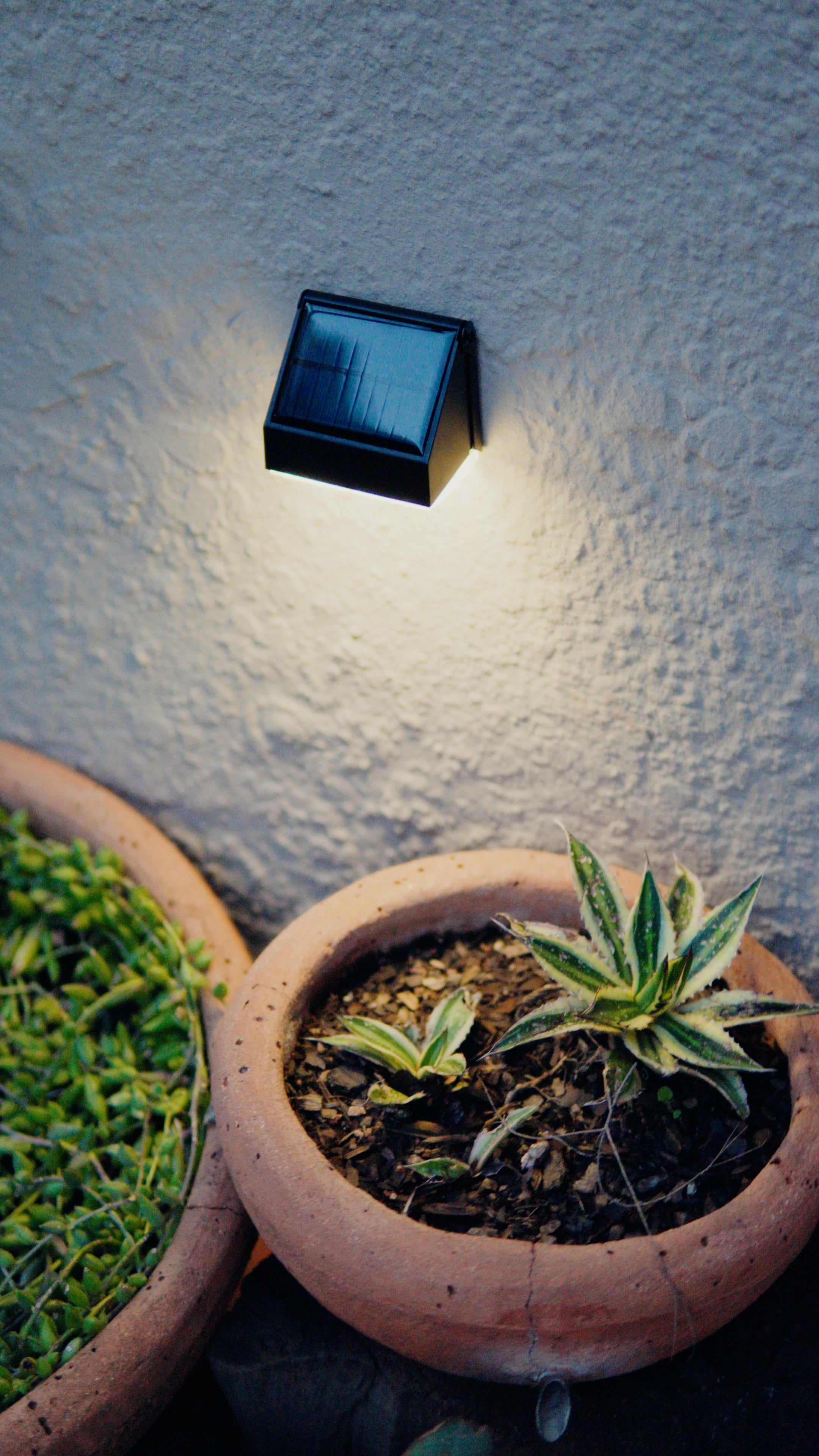Limelight Mars Series Solar Wall Light