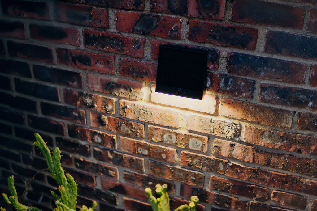 Limelight Venus Series Solar Wall Light