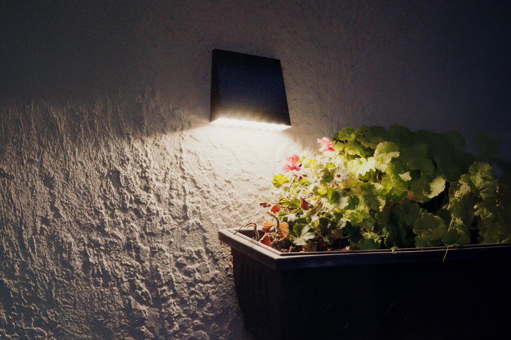 Limelight Venus Series Solar Wall Light