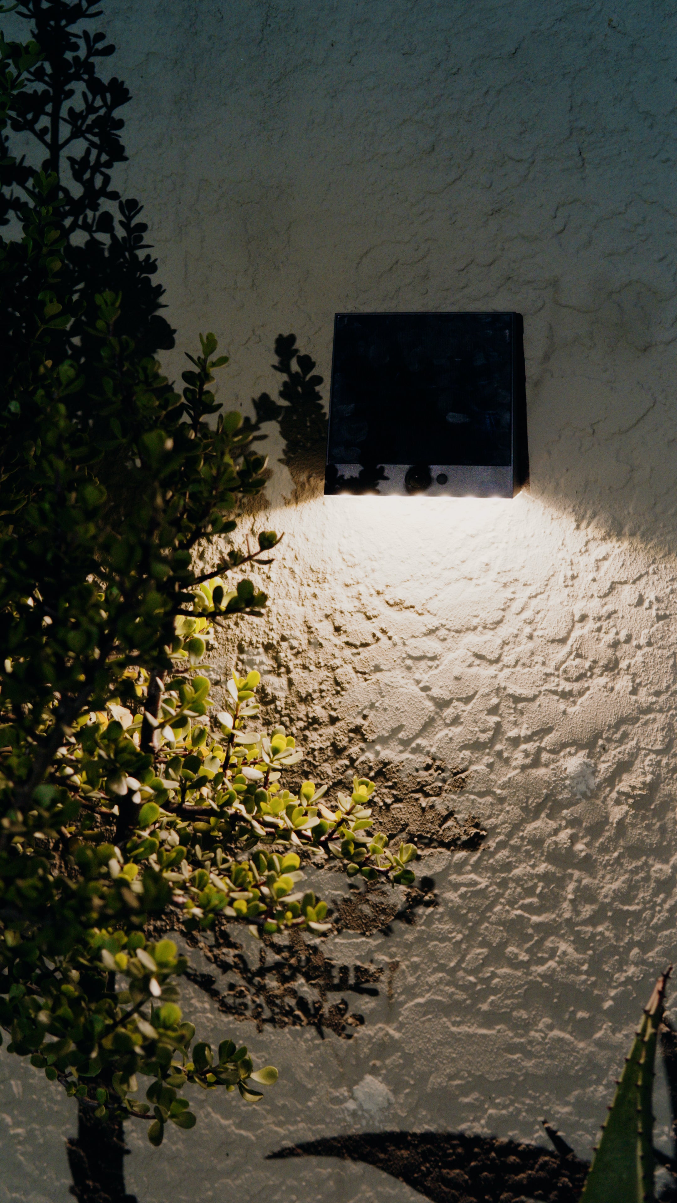 Limelight Venus Series Solar Wall Light