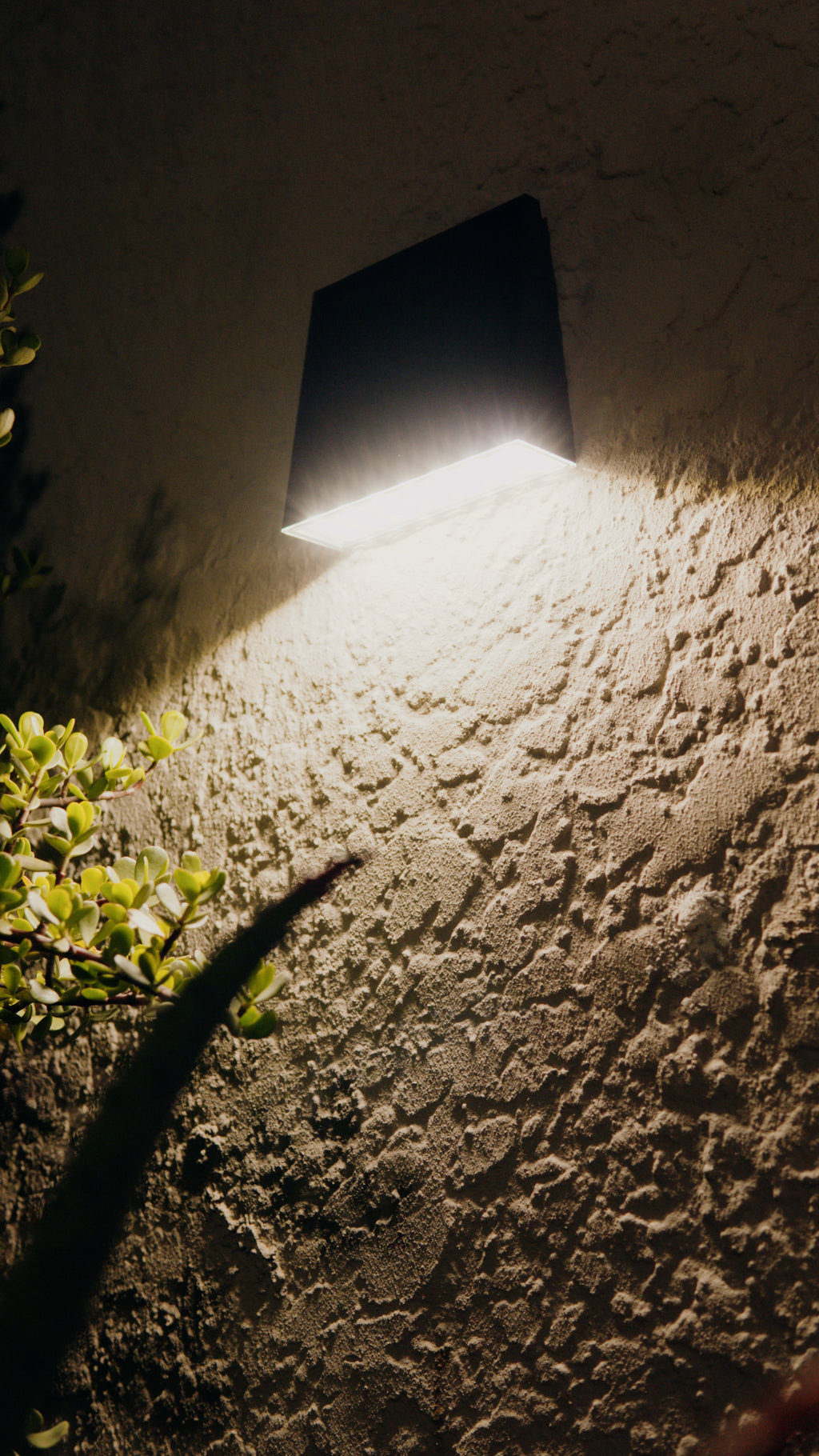 Limelight Venus Series Solar Wall Light