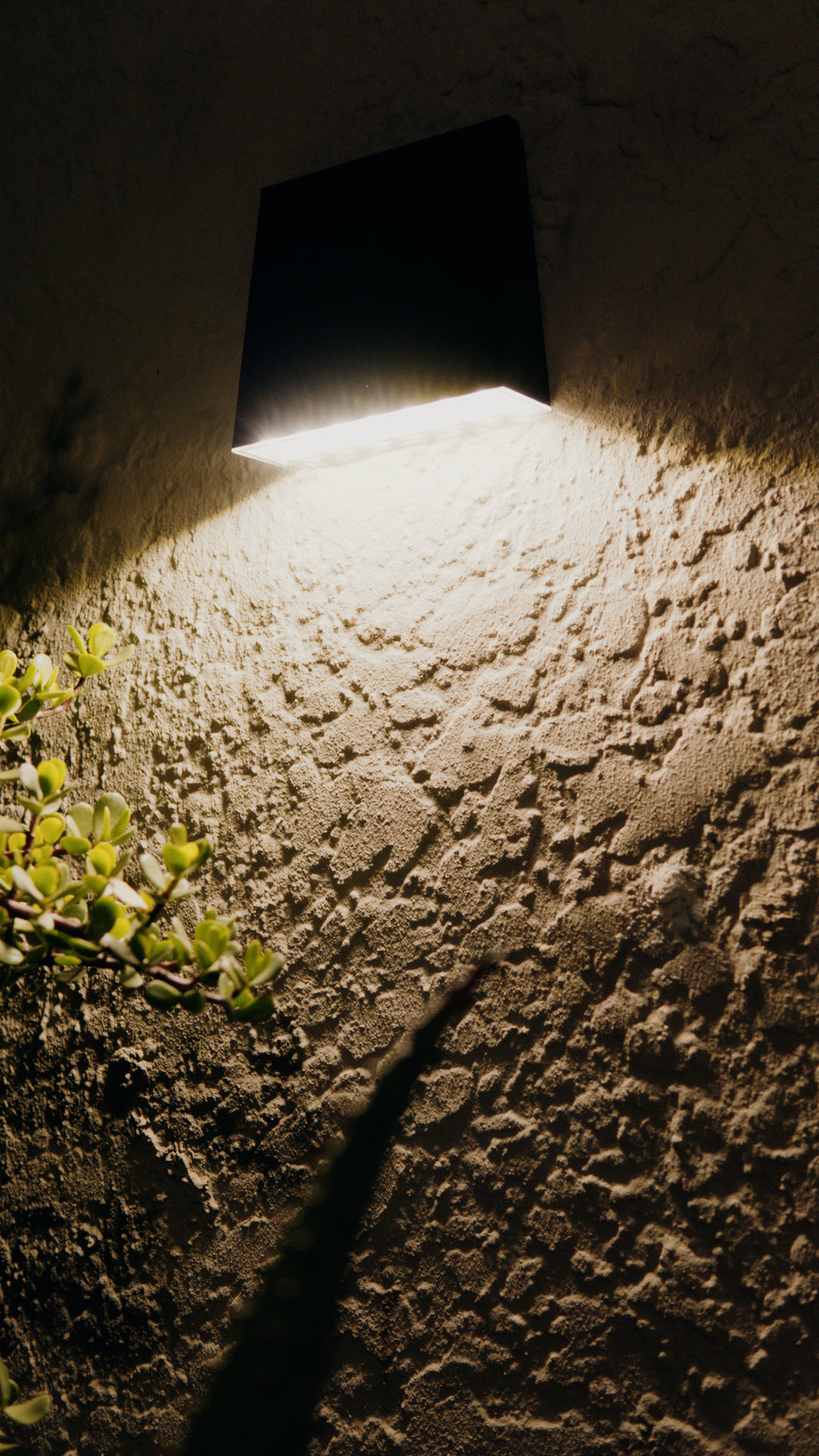 Limelight Venus Series Solar Wall Light