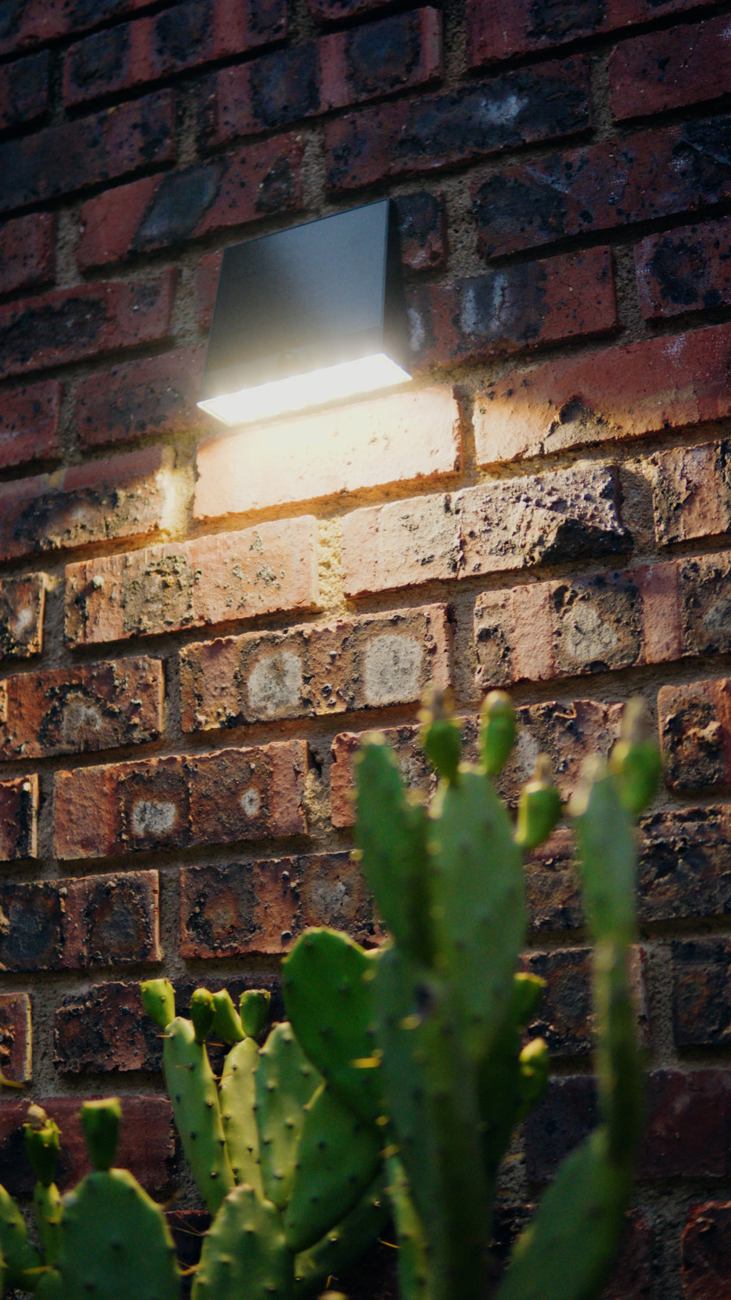 Limelight Venus Series Solar Wall Light