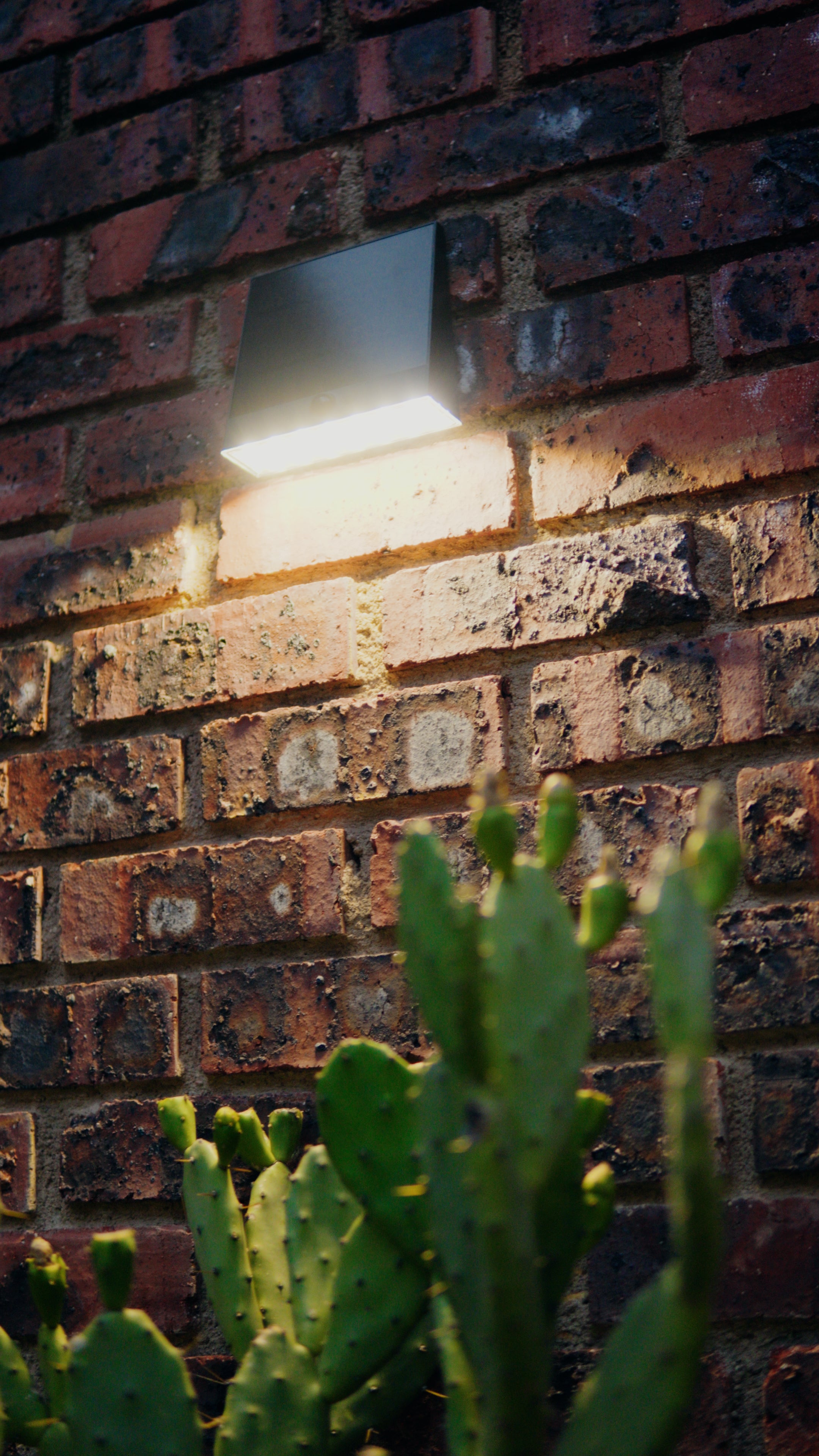 Limelight Venus Series Solar Wall Light