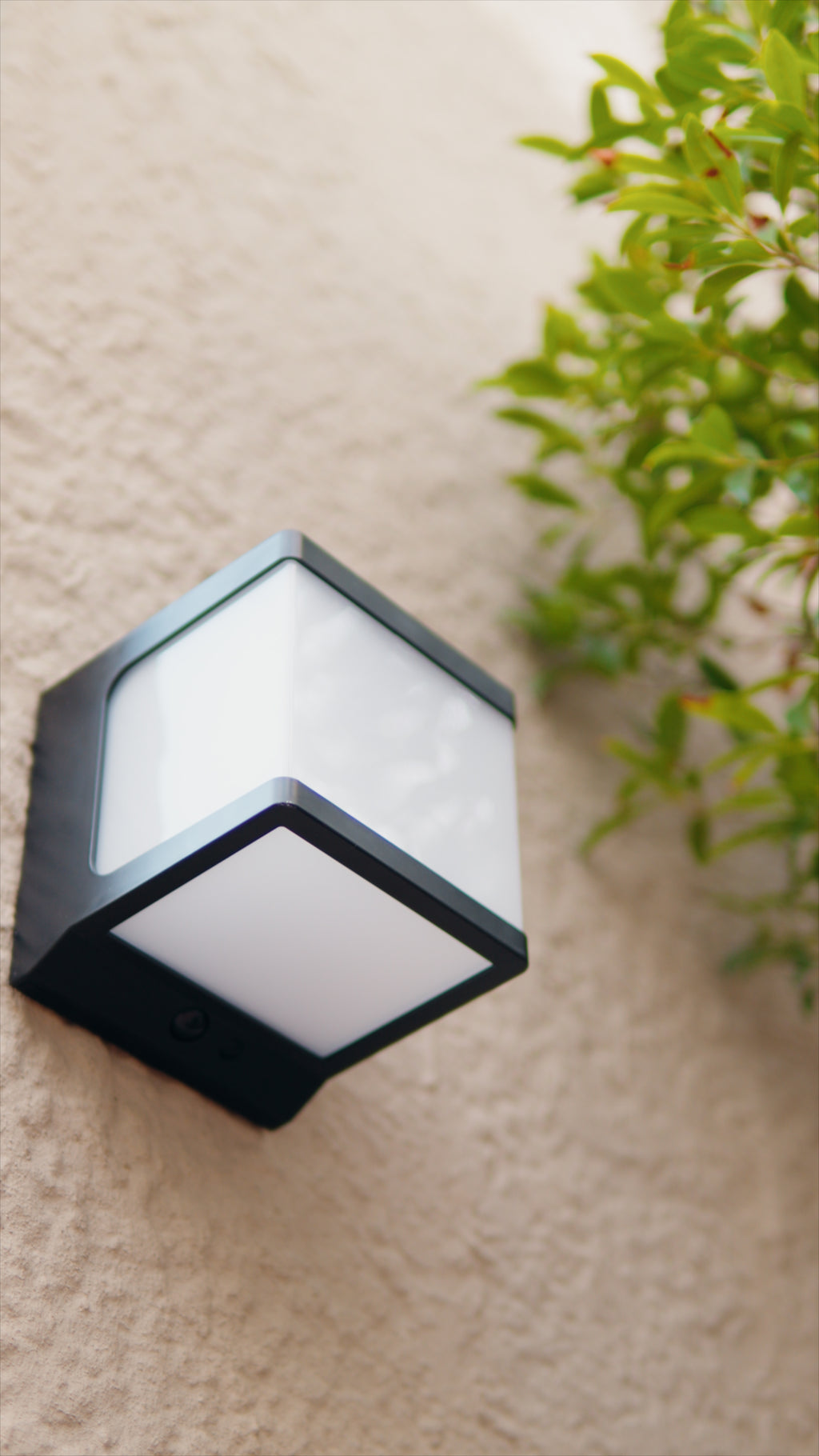 Limelight Cube Series Solar Wall Light
