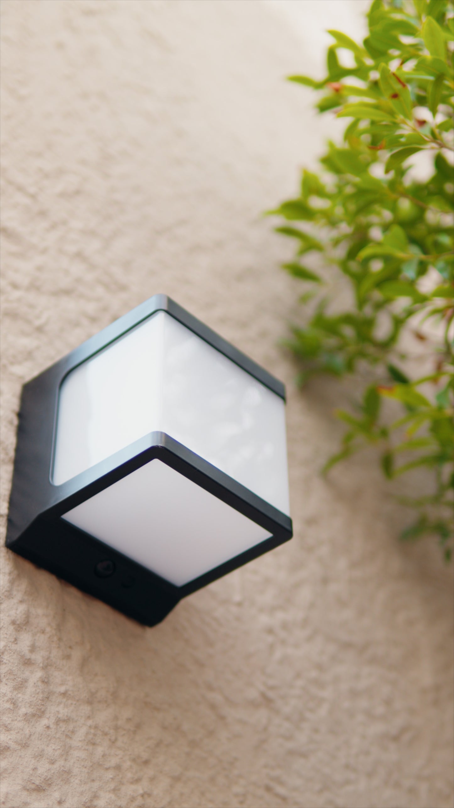 Limelight Cube Series Solar Wall Light