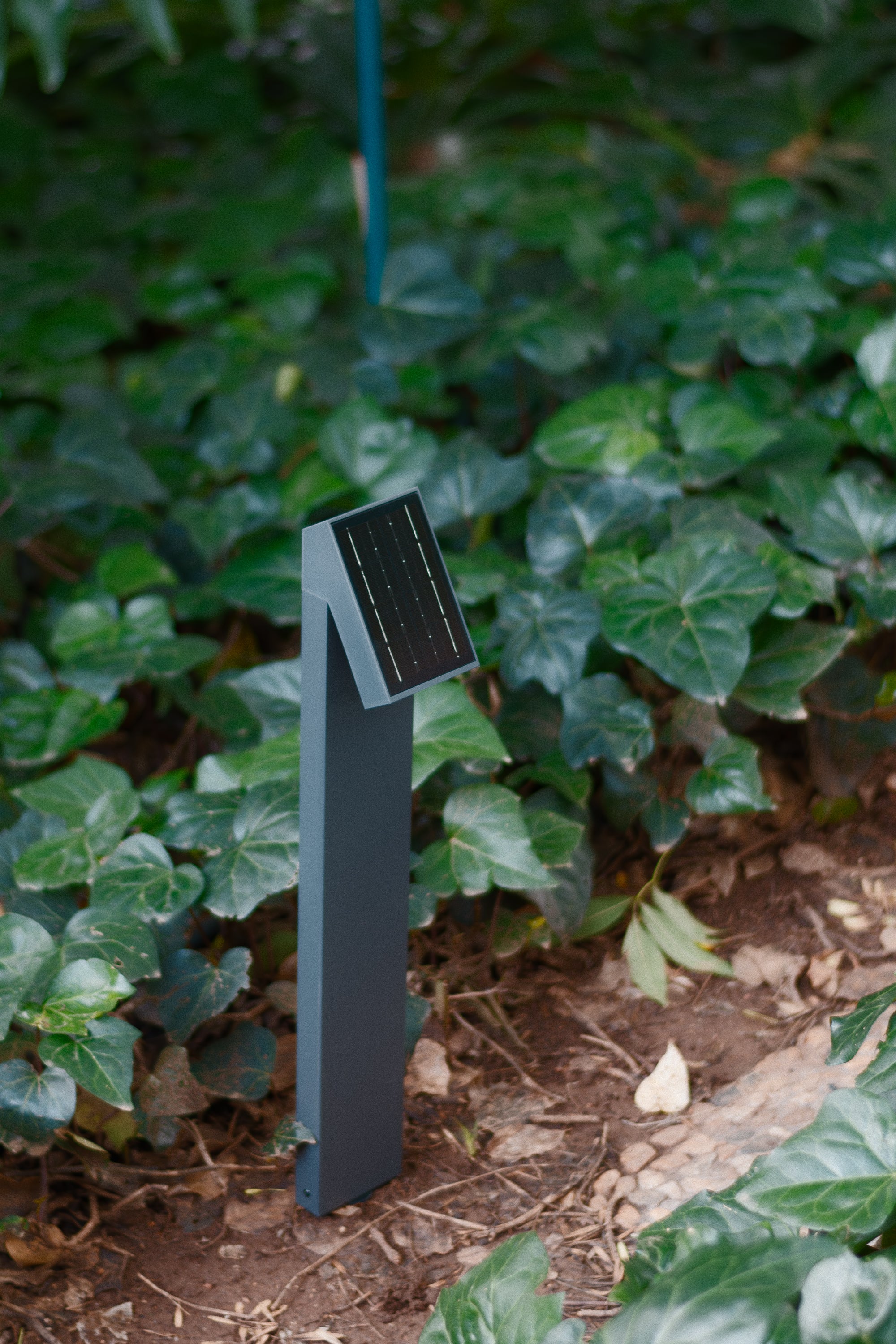 Limelight Flag Series Solar Garden Light