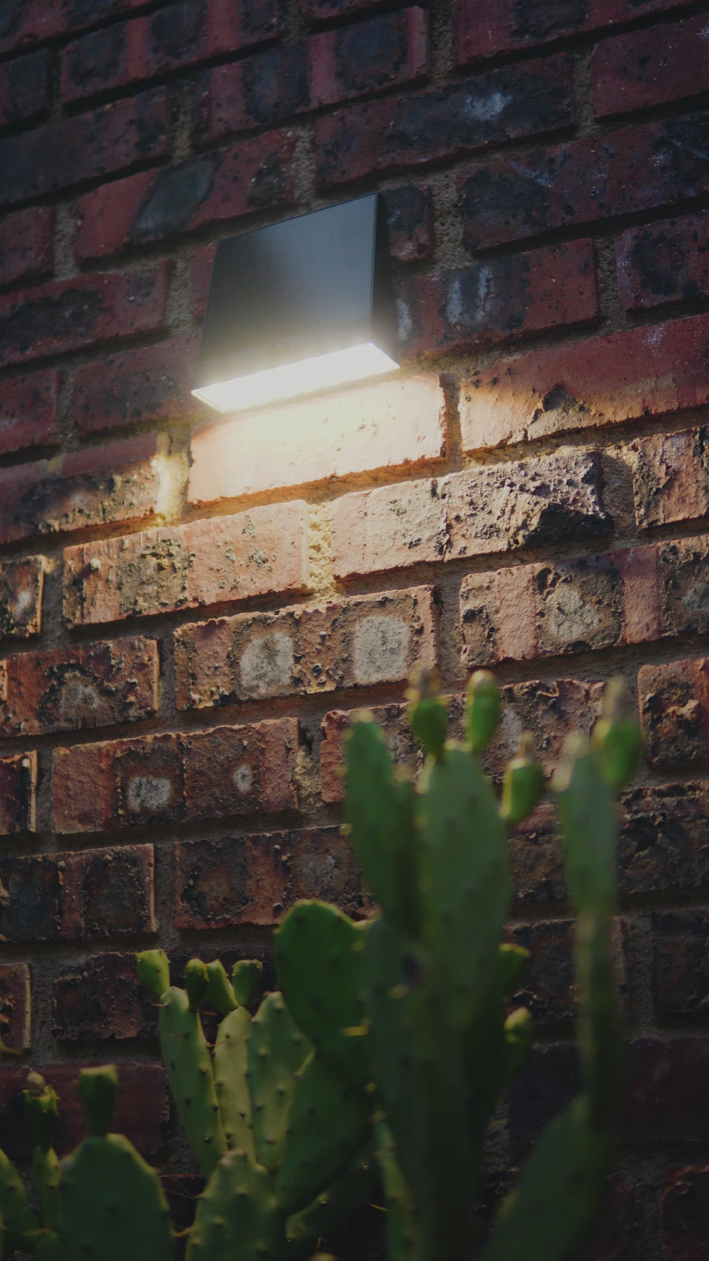 Limelight Venus Series Solar Wall Light