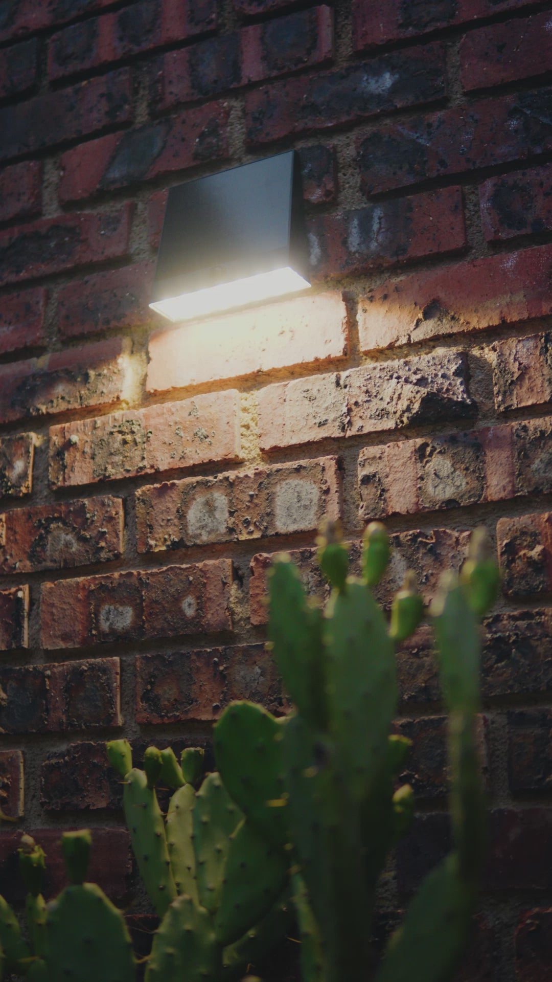 Limelight Venus Series Solar Wall Light